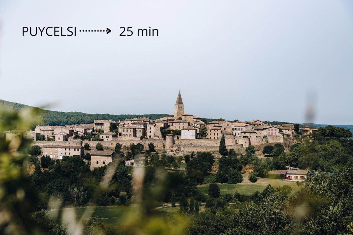 Jolie Maison - Calme - Jardin - Gaillac Exteriér fotografie