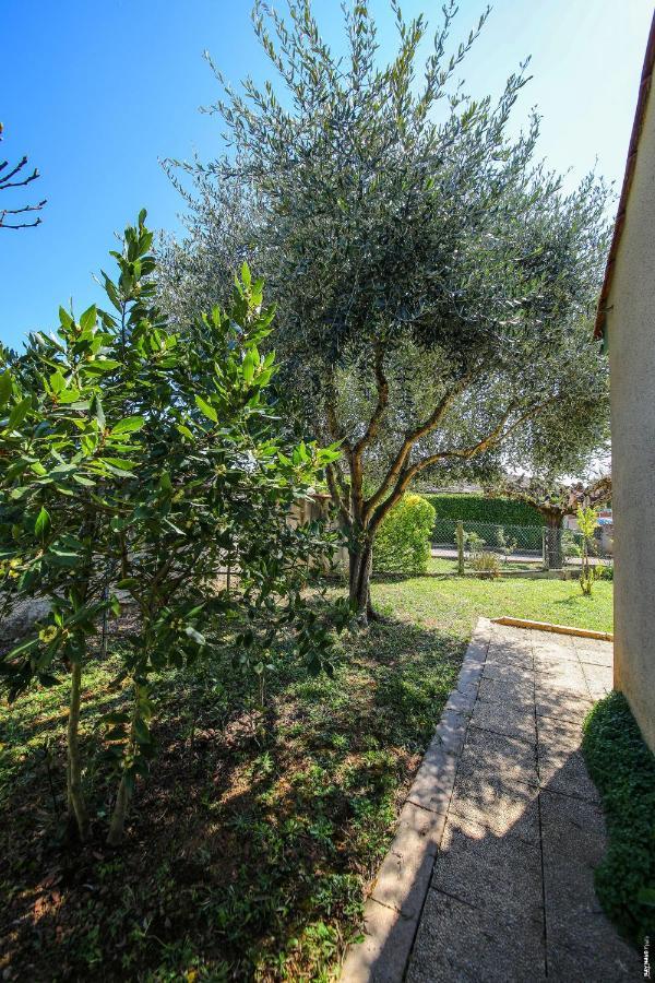 Jolie Maison - Calme - Jardin - Gaillac Exteriér fotografie