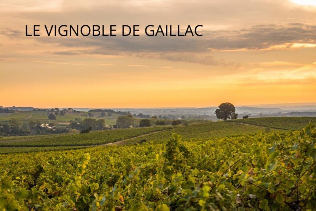 Jolie Maison - Calme - Jardin - Gaillac Exteriér fotografie